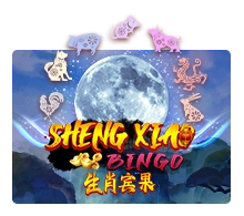 Sheng Xiao Bingo - STARBET388
