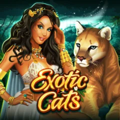 Exotic Cats - STARBET388