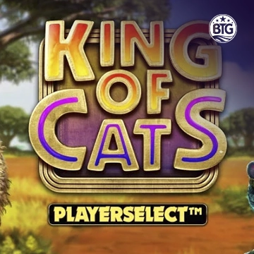 King of Cats - STARBET388