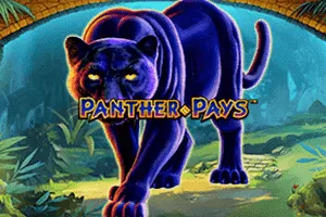 Panther Pays - STARBET388