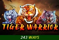 Spadegaming : Tiger Warrior - STARBET388