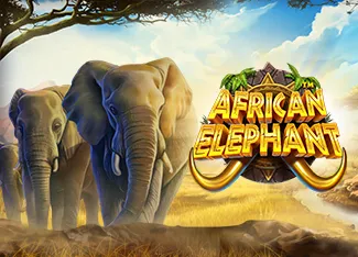 Pragmatic : African Elephant - STARBET388